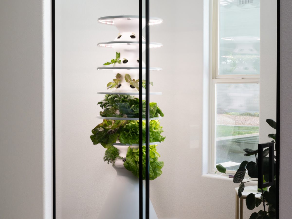 Glass-enclosed hydroponic tower garden with grow lighting and oak engineered flooring — Reveal Interior Design Las Vegas